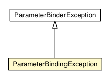 Package class diagram package ParameterBindingException