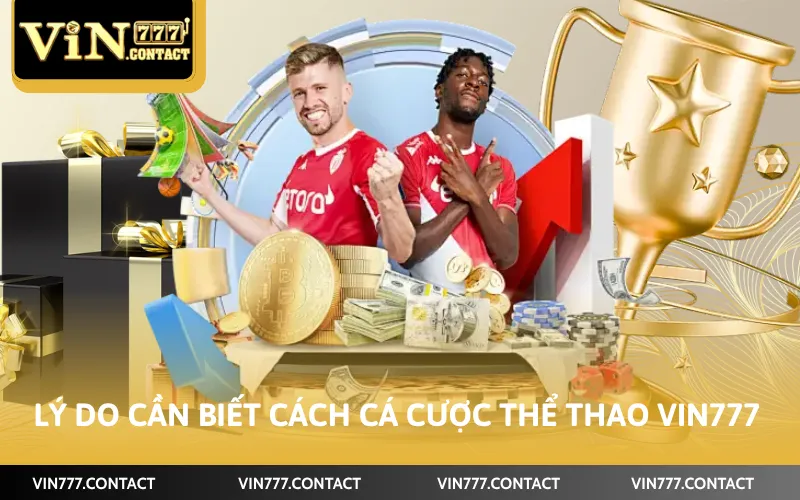 Cách Cá Cược Thể Thao Tại VIN777 - Tham Gia Hiệu Quả 2 Lý do cần biết cách cá cược thể thao VIN777